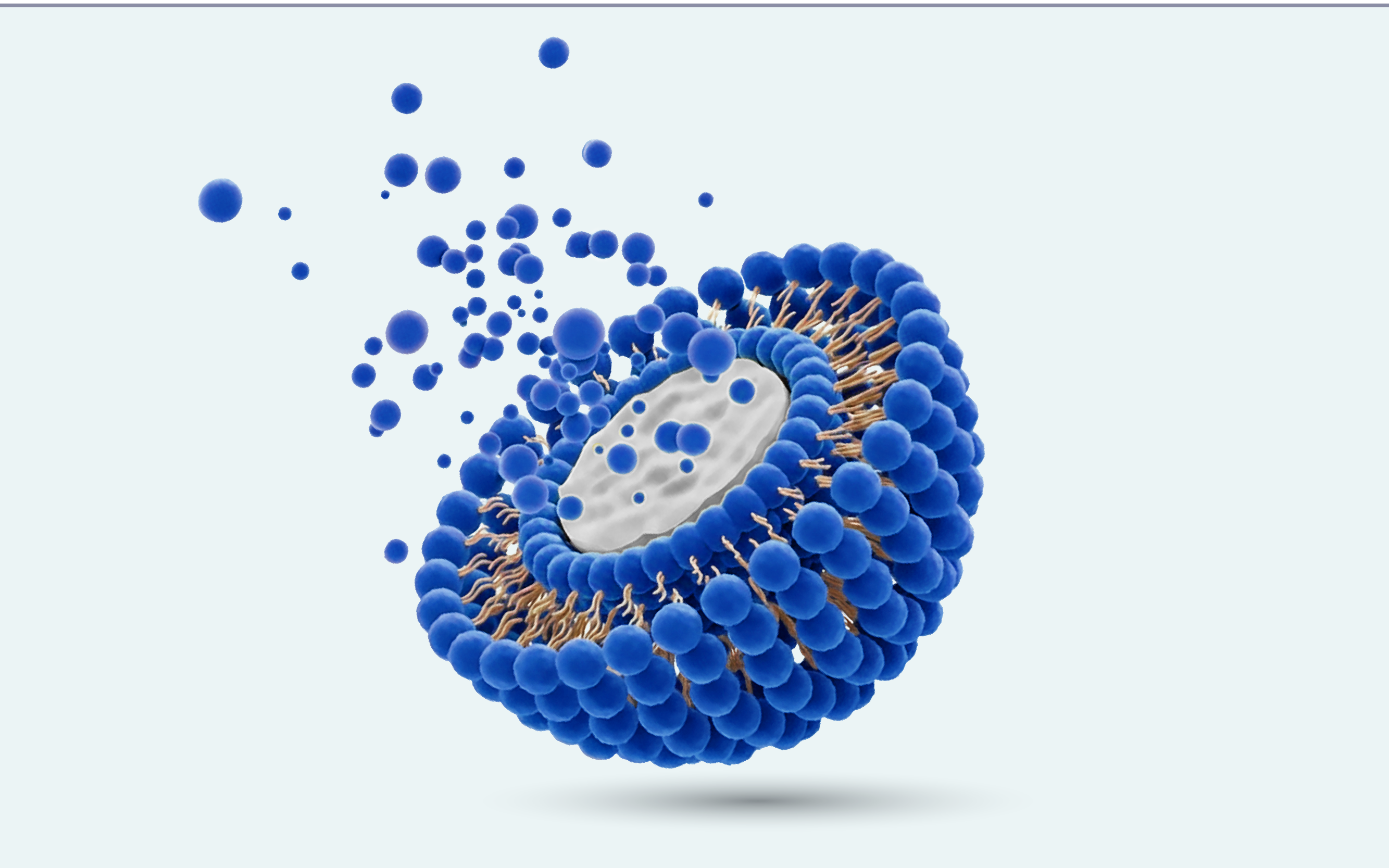 LIPOSOMAL TRI-ACTIVE SYSTEM